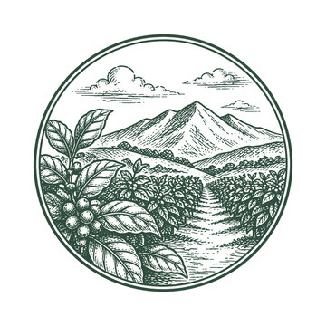 Scenic coffee plantation landscape vector illustration in a circular frame featuring mountains and rows of coffee trees for origin labels and packaging.