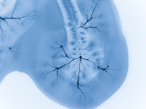 Ice texture background. Frozen lake surface with cracks resembling tree branches, winter landscape, Fusine lakes, Tarvisio, Friuli, Italy.