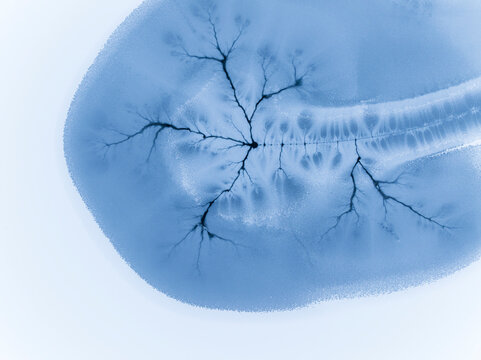 Ice texture background. Frozen lake surface with cracks resembling tree branches, winter landscape, Fusine lakes, Tarvisio, Friuli, Italy.