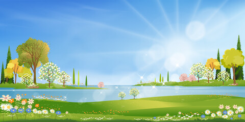 Spring village with green field by the lake, blue sky and clouds,Backdrop Rural nature landscape in springtime with grass land, flower and sun shining,Vector Spring and Summer banner background © shohanex