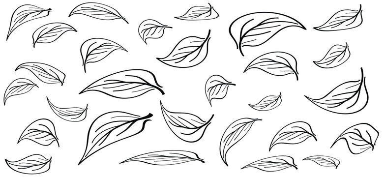 Cartoon falling leaves, autumn siskin. Autumn leaves fall on the ground concept. The symbol of letting go, depression, or change, or in other words, something ends so that something else can begin.