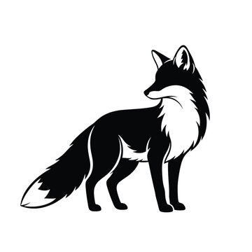 Black and white fox illustration.