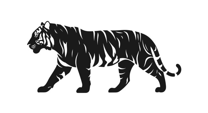 Black tiger walking on white background.