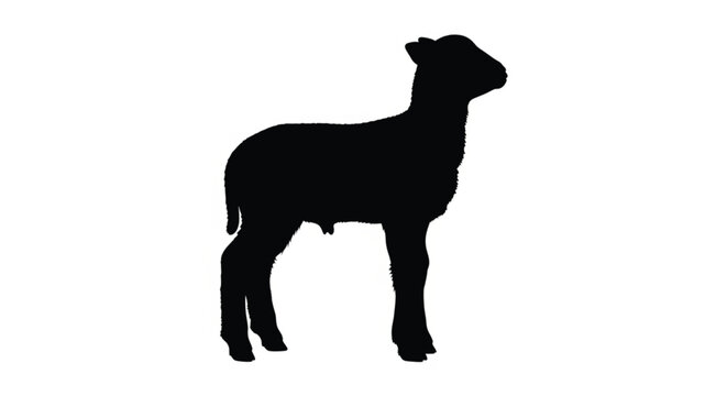 Sheep silhouette side view standing isolated on white background simple black farm animal vector icon for agriculture and livestock design use