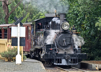 Obraz premium Vintage steam locomotive emitting smoke as it travels through lush green forest scenery