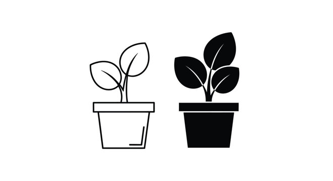 Two simple black and white illustrations depict young plants growing in small rectangular flowerpots