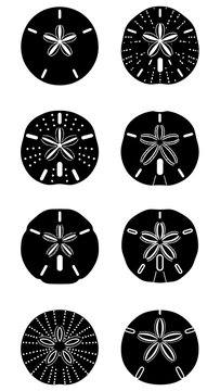 Collection of Sand Dollar Silhouettes Isolated on White Background