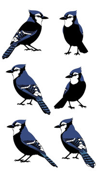 Two Blue Jays Facing Each Other, Pixel Art Style