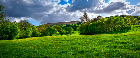 Naklejka premium Meadow Landscape near Pen-Y-Fan Mountain, Brecon Beacons, Wales, U.K.