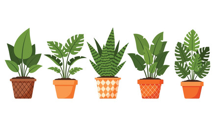 A colorful arrangement of five potted houseplants displaying diverse leaf shapes and textures high quality © Shakil