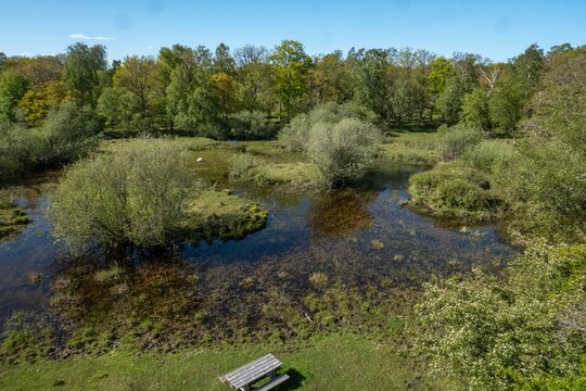 Small lake in southern Ottenby lund, in Ottenby nature reserve on southern Oland, Sweden.