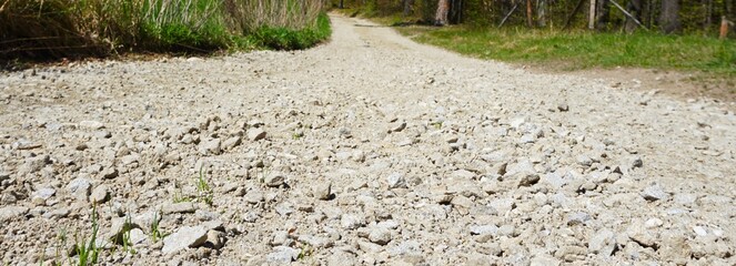Zbliżenie na leśną drogę wysypaną kruszywem. Kamienna nawierzchnia tworzy stabilną warstwę prowadzącą przez las w naturalnym otoczeniu. © Adam