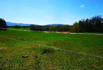 Elektryczny pastuch rozciągnięty wzdłuż łąki wyznacza granicę pastwiska w spokojnym, wiejskim krajobrazie. W tle rozciąga się otwarta przestrzeń zielonej łąki. © Adam