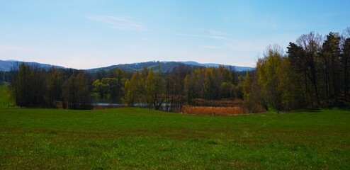 Jezioro w oddali i drzewa dookoła. Widok na las i góry w Czechach. © Adam