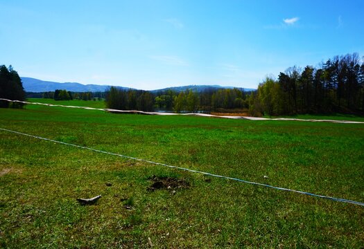 Elektryczny pastuch rozciągnięty wzdłuż łąki wyznacza granicę pastwiska w spokojnym, wiejskim krajobrazie. W tle rozciąga się otwarta przestrzeń zielonej łąki.