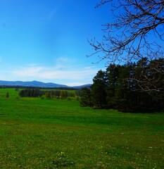 Rozległa łąka w Czechach skąpana jest w dobrej pogodzie, z miękkim światłem podkreślającym naturalne kolory krajobrazu. W tle rysują się góry, tworząc spokojną, malowniczą panoramę. © Adam