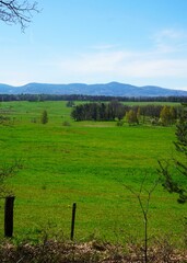 Słoneczna łąka w Czechach rozciąga się w pierwszym planie, otoczona świeżą zielenią i spokojnym, naturalnym krajobrazem. W tle wznoszą się łagodne góry pod bezchmurnym, pogodnym niebem. © Adam