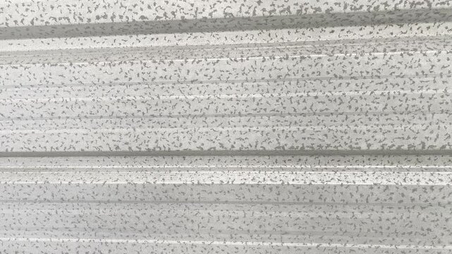 Macro Texture of Galvanized Steel Sheet with Speckled Pattern