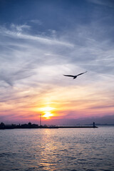 Fototapeta premium A lone seagull soars above a harbor at sunset, vibrant clouds and pastel sky reflect on calm water while lighthouse and pier silhouettes create a peaceful, solitary coastal scene.