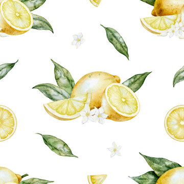 Seamless watercolor Pattern with Lemon composition, slices, leaves and blossoms. Illustration of Citrus background for packaging, textile, wallpaper, kitchen design and summer cloth.