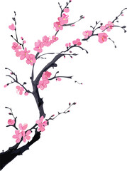 Fototapeta premium Pink cherry blossom flowers, pink apple plum japanese sakura tree branches asian chinese spring painting floral traditional digital hand painted decorative element spring transparent isolated vector