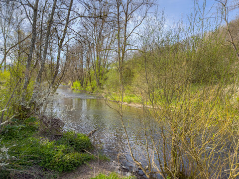 The Nature around Bitburg in the german Eifel - Green Hell
