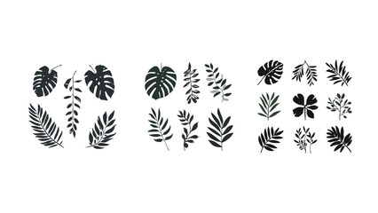 Obraz premium set of plants silhouettes