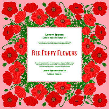 Wild poppy floral frame template. Botanical square border for a greeting card, invitation or social media post. Meadow papaver bouquet background with text. Vector flat illustration.