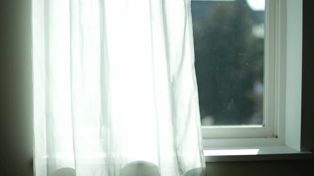 White Sheer Curtain Blowing in the Wind at a Sunny Window