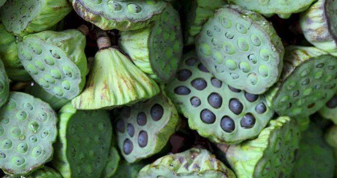 Lotus seed pods stacked together, showing detailed textures and seeds. Natural light, ideal for food, herbal, and nature themes, close-up