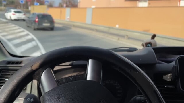 Steering wheel pov following hatchback on street, watch on wrist and smartphone mount visible, small plush toy on dash, approaching intersection and crosswalk, braking and cautious