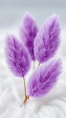 Naklejka premium Purple bunny tail stems standing on soft white faux fur