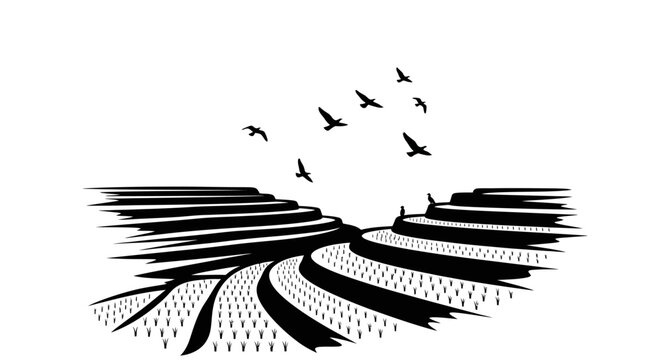 Black and white illustration of birds.