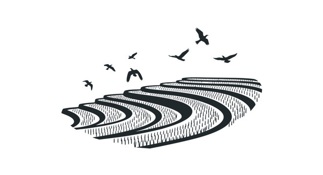 Black and white illustration of birds.