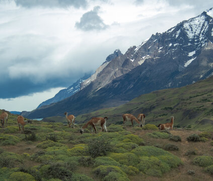 Patagonia Mountains