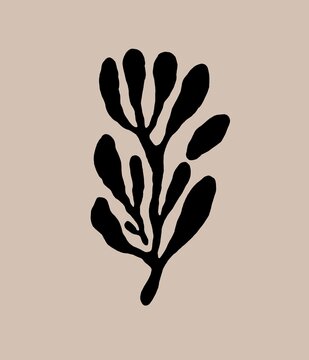 black silhouette of dry leaves in summer