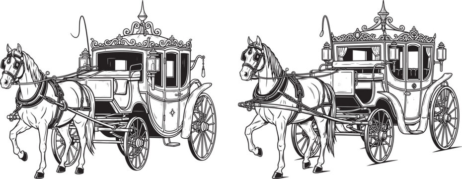 Ornate horse-drawn carriage in black and white vintage transport illustration old fashioned carriage transport illustration monochrome detailed