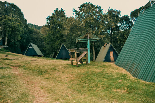 Scenic view of Mountain Cabins at Mandara Hut in Montane Forest, Kilimanjaro National Park, Tanzania