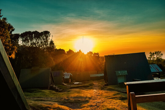 Golden sunrise at the Mountain Cabins at Mandara Hut during sunrise in Montane Forest, Kilimanjaro National Park, Tanzania