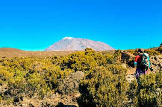 A solo Hiker Ascending Towards Kibo peak in the Afro-Alpine Moorland ecological zone on the Marangu Route, Mount Kilimanjaro