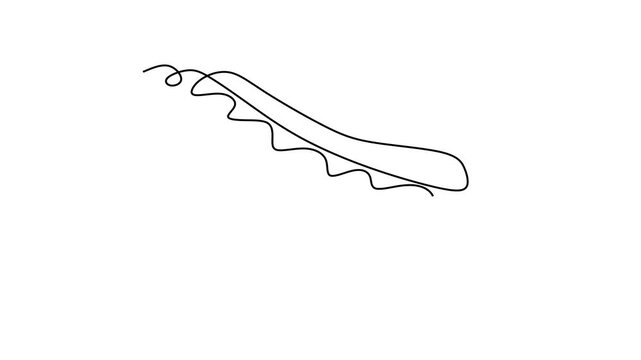 Animated self drawing of continuous line draw of  Hot Dog sausage full topped, ketchup, mayo melted   Full length one line animation. 4K