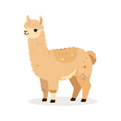 Fototapeta premium Adorable llama standing on a white background in a cartoon style illustration