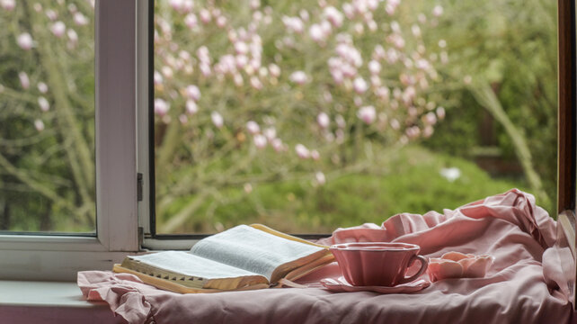 Cozy reading nook with open book and tea by the window on a spring day
