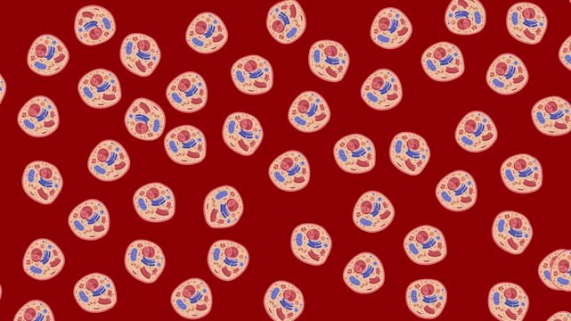 A continuous 2D vector graphic animation featuring a seamless scrolling texture of biological animal cell diagrams showing inner organelles like mitochondria and the nucleus against a deep red backdro