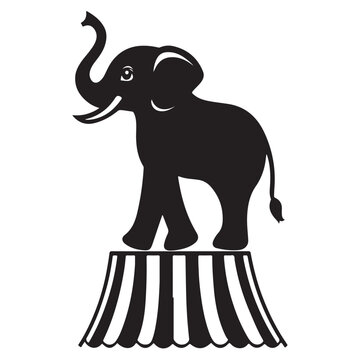 elephant vector illustration