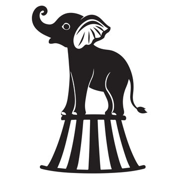 elephant vector illustration