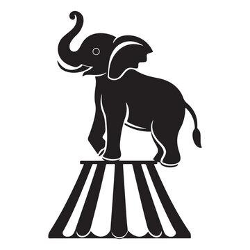 elephant vector illustration