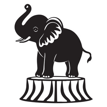 elephant vector illustration