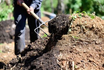 Fototapeta premium Gardener turning compost pile with pitchfork, rich soil, organic gardening, sustainable living