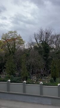 Overcast cemetery view vertical stock video showing leafless trees, dense evergreens, rows of headstones and low concrete wall by empty road, somber gray sky with heavy clouds,